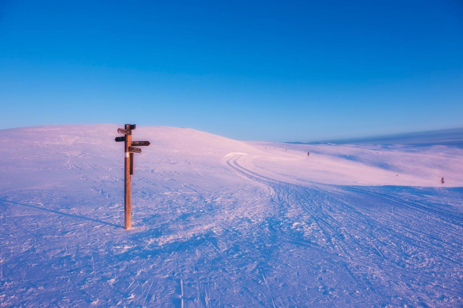 Spidsbergseter Resort Rondane Venabygd Kültér fotó