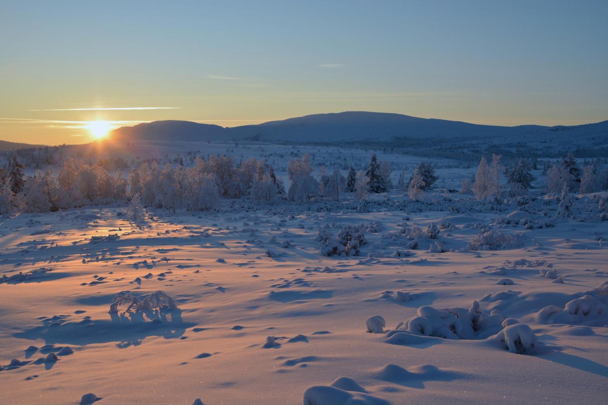 Spidsbergseter Resort Rondane Venabygd Kültér fotó