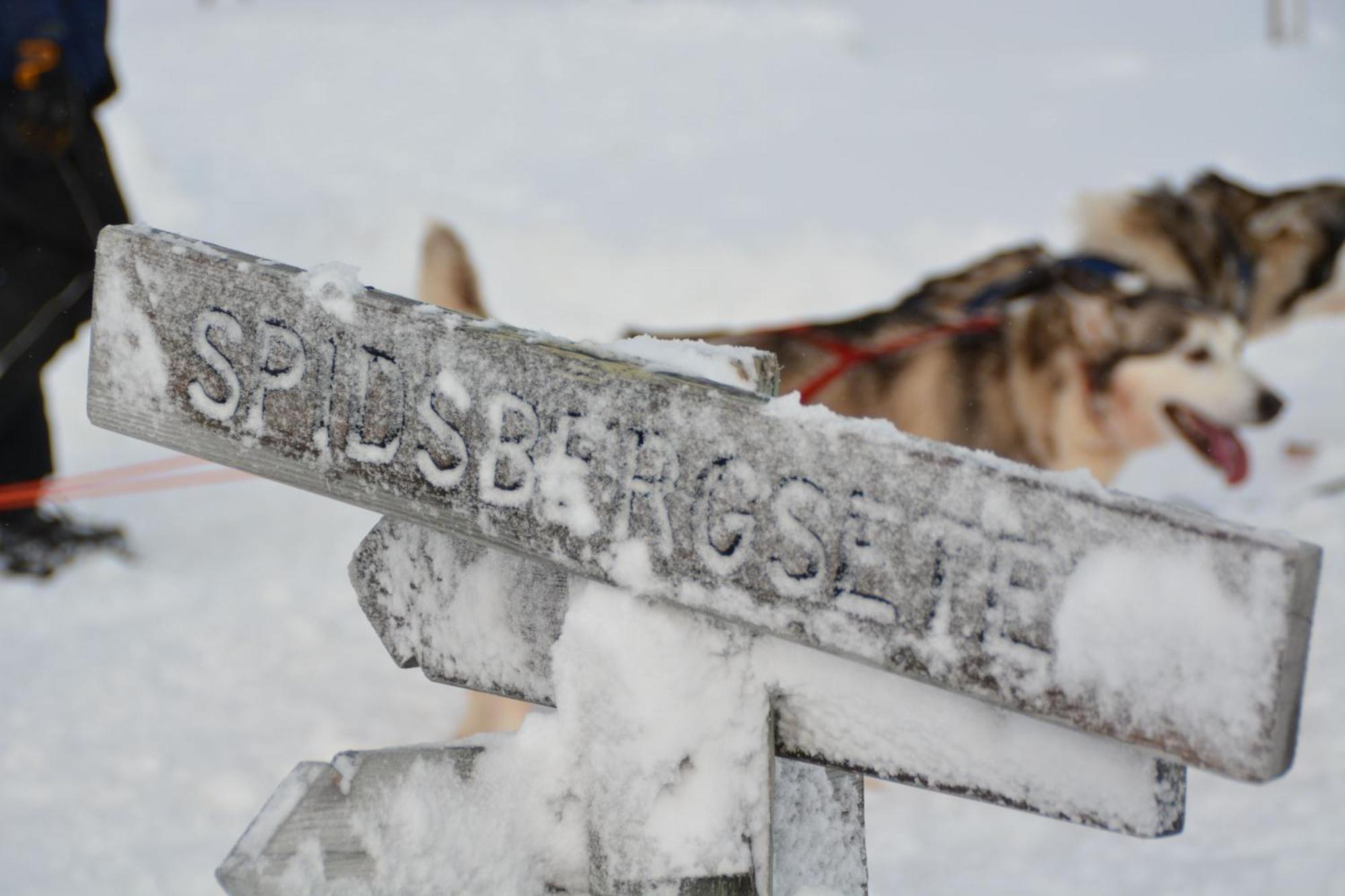 Spidsbergseter Resort Rondane Venabygd Kültér fotó